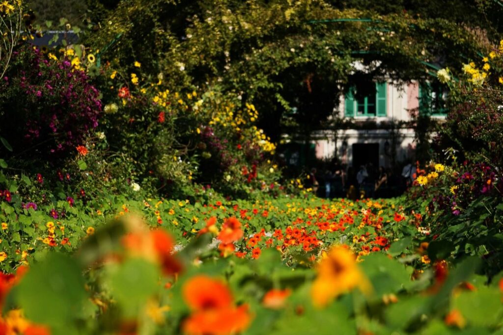 Rodriguez Paysages - jardinier à Montpellier