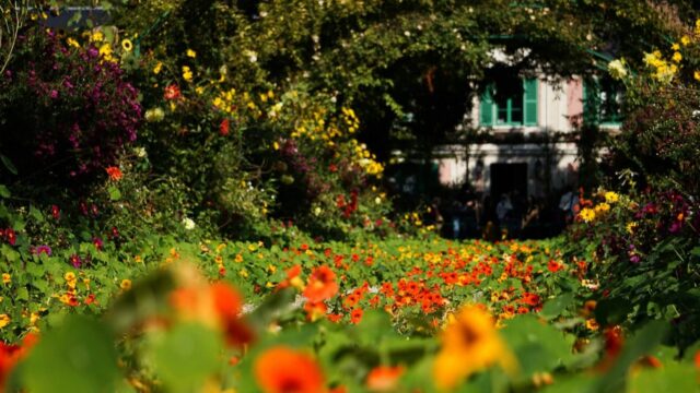 Rodriguez Paysages - jardinier à Montpellier