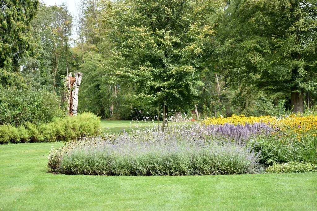 Abies - jardinier à Montpellier